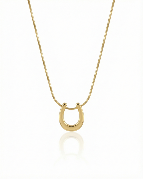Auspicious Hippocrepiform Necklace